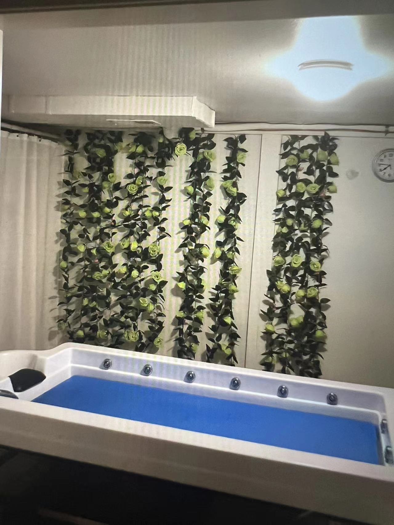 Studio Treatment Area